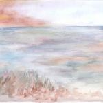 Lande et falaise 2011