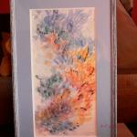 Tous les papillons 2005