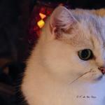 Jeux de lumières chaudes et froides