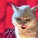 HDRtist HDR Rendering - http://www.ohanaware.com/hdrtist/