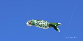 Sélection Arts Danse - Cirque - Spectacle