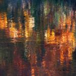 Automne à l'eau