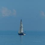 Blue sailing