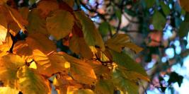 Couleurs et textures