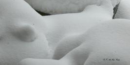 Noir Blanc Unicolore