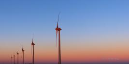 Couleurs et textures