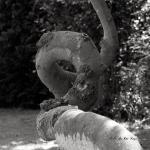 Bois des Moutiers (13) Avril 2012