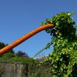 végétation industrielle