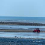 Les laboureurs de la mer