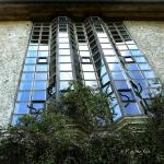 Bois des Moutiers (35) avril 2012