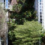 Bois des Moutiers (37) avril 2012