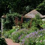 Bois des Moutiers (2) Summer 2012