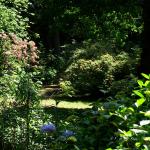 Bois des Moutiers (5) Summer 2012