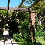 Bois des Moutiers (7) Summer 2012