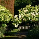 Banc lumiere du soir