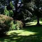 Bois des Moutiers  (92) Summer 2012