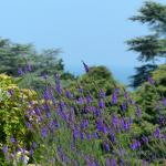 Echappée sur la mer