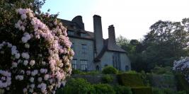 Bois des Moutiers - Lumières