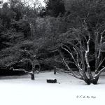 Bois des Moutiers Winterreise (14)