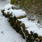 Bois des Moutiers Winterreise (17)