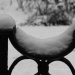 Bois des Moutiers Winterreise (2)