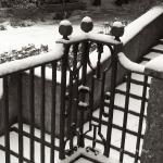 Bois des Moutiers Winterreise (23)