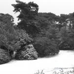 Bois des Moutiers Winterreise (32)