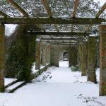 Bois des Moutiers Winterreise (33)