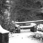 Bois des Moutiers Winterreise (43)