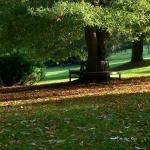 Bois des moutiers fall 2012 (74)