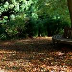 Bois des moutiers fall 2012 (76)