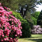 Bois des Moutiers (276) Mai 2012