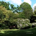 Bois des Moutiers (28) Juin 2012