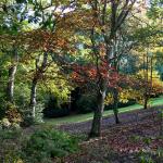 Bois des moutiers fall 2012 (70)