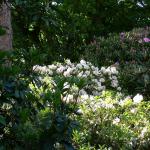 Bois des Moutiers (21) Juin 2012