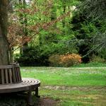 Bois des Moutiers (155) Mai 2012