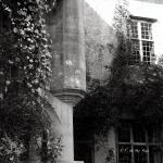 Bois des Moutiers (157) Mai 2012