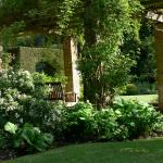 Bois des Moutiers (158) Mai 2012