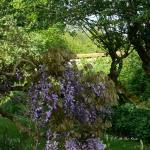 Bois des Moutiers (164) Mai 2012