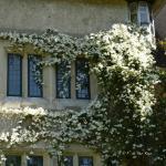 Bois des moutiers (168) Mai 2012