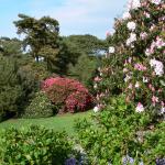 Bois des Moutiers (172) Mai 2012