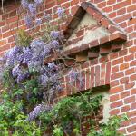 Bois des Moutiers (2) Mai 2012