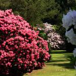 Bois des Moutiers (241) Mai 2012