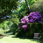 Bois des Moutiers (244) Mai 2012