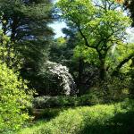 Bois des Moutiers (252) Mai 2012