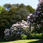 Bois des Moutiers (261) Mai 2012