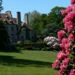 Bois des Moutiers (272) Mai 2012