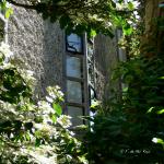 Bois des Moutiers (290) Mai 2012