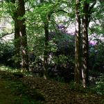 Bois des Moutiers (330) Mai 2012