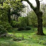 Bois des Moutiers (67) Mai 2012